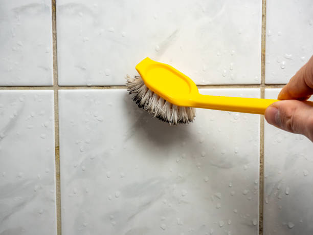 Best Mold Testing and Removal  in Dunn Loring, VA
