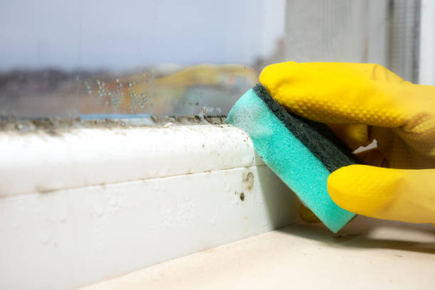 Dunn Loring, VA Mold Removal Company